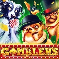 Gamblers5men game thumbnail